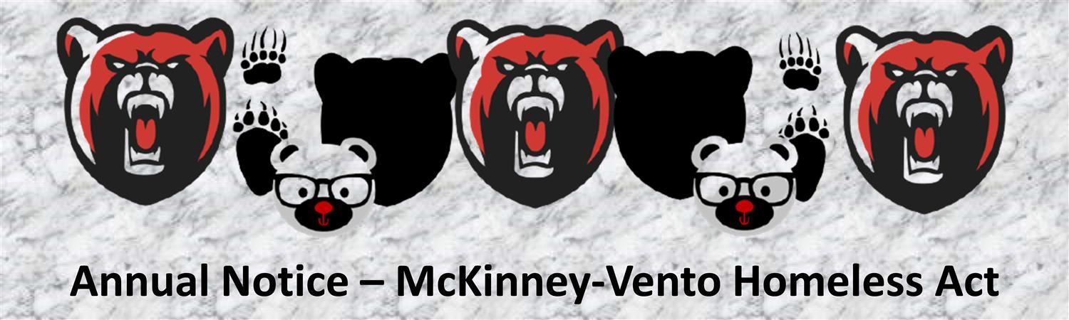 McKinney-Vento Homeless Act